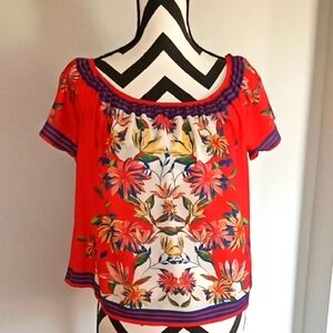 Flying Tomato Crop Top